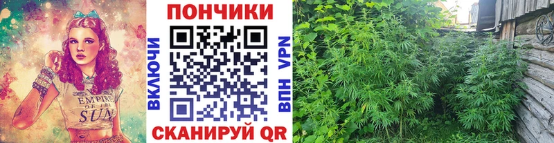 Названия наркотиков Кашин Конопля КОКАИН ГАШ Мефедрон