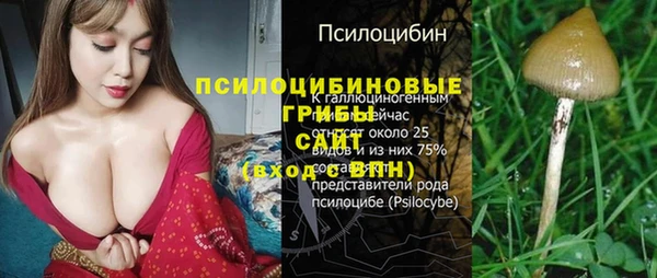 винт Нея