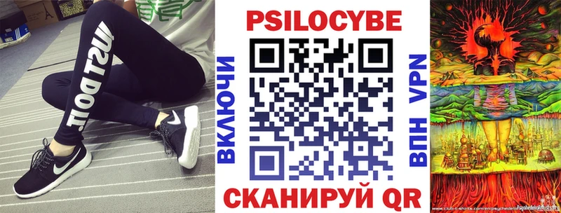 купить наркотики цена  Кашин  Псилоцибиновые грибы ЛСД 